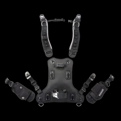 Rogue Back Assembly