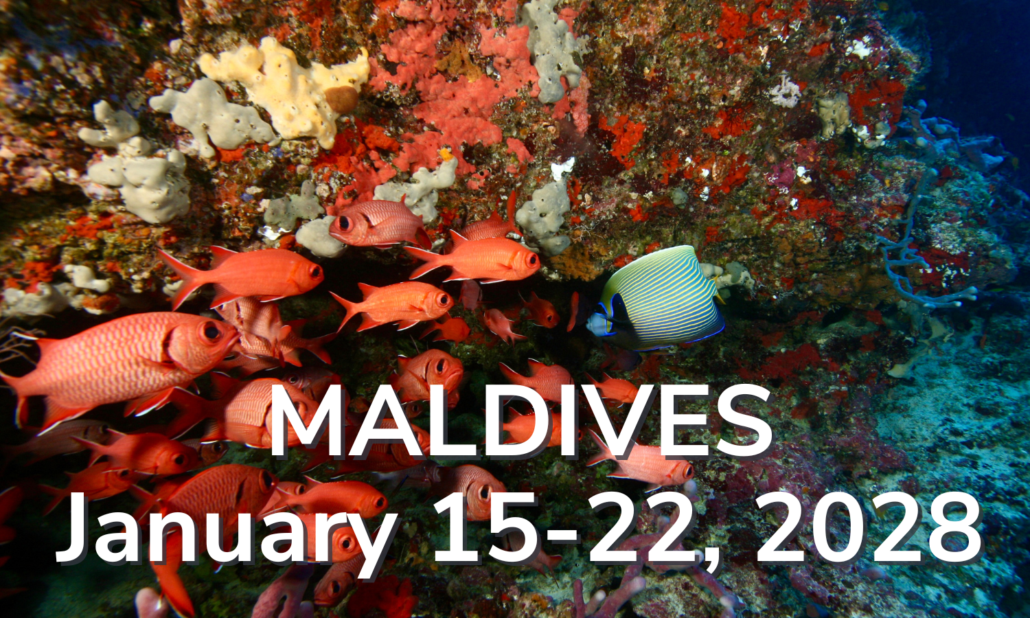 Maldives aboard the Spirit of Maldives January 15-22, 2028 Maldives aboard the Spirit of Maldives January 15-22, 2028