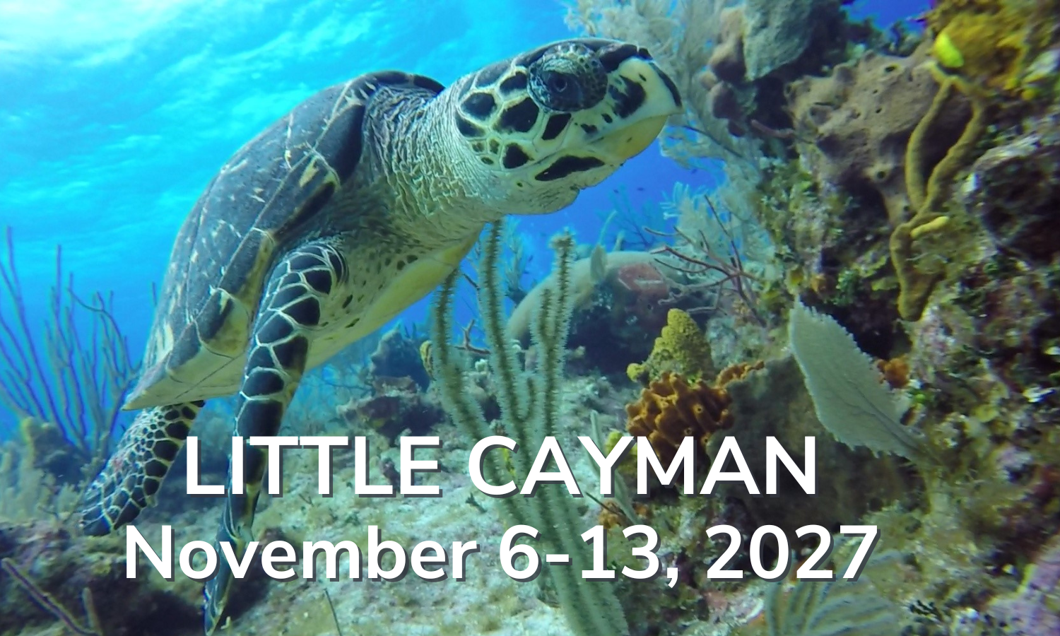 Little Cayman November 6-13, 2027 Little Cayman November 6-13, 2027