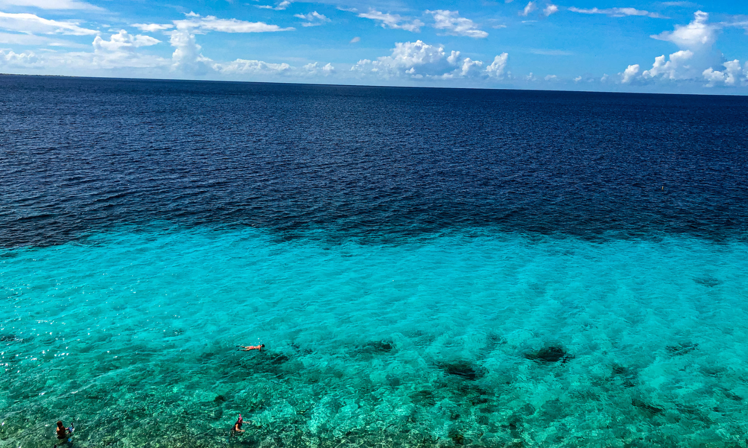 Bonaire at Buddy July 10-17, 2027 Bonaire at Buddy July 10-17, 2027