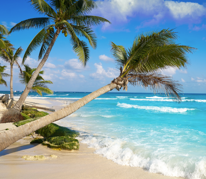 Playa Del Carmen October 2-9, 2027 Playa Del Carmen October 2-9, 2027
