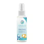 Mask Defog Spray