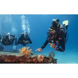 Divemaster Digital Crew-Pak w/ Slates, Pro Bag