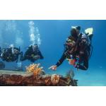 Divemaster Digital Crew-Pak w/ Slates, Pro Bag