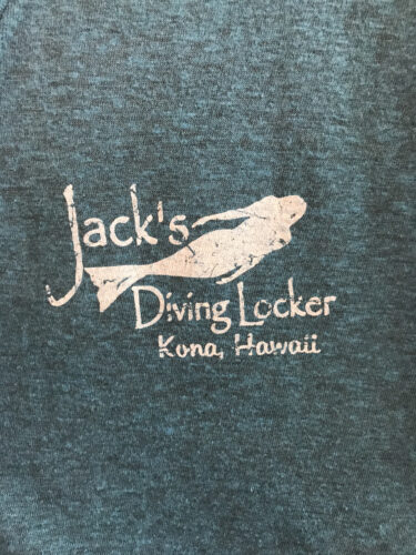 Ladies V-Neck Logo T-Shirt