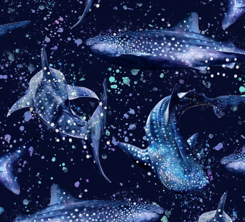 Whale Shark Wonderland Socks