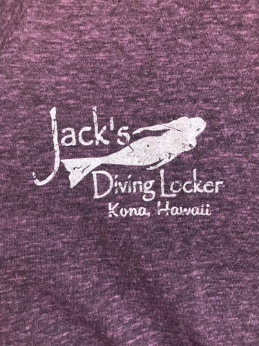 Ladies V-Neck Logo T-Shirt