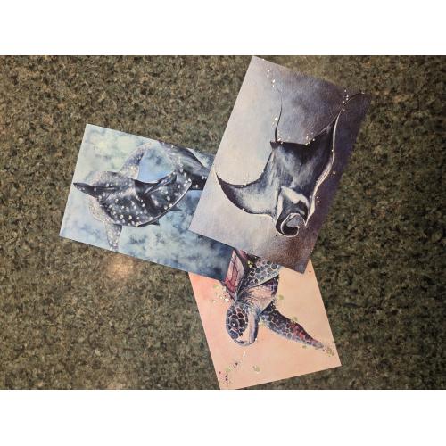 Postcard, Danielle Burnside, Assorted