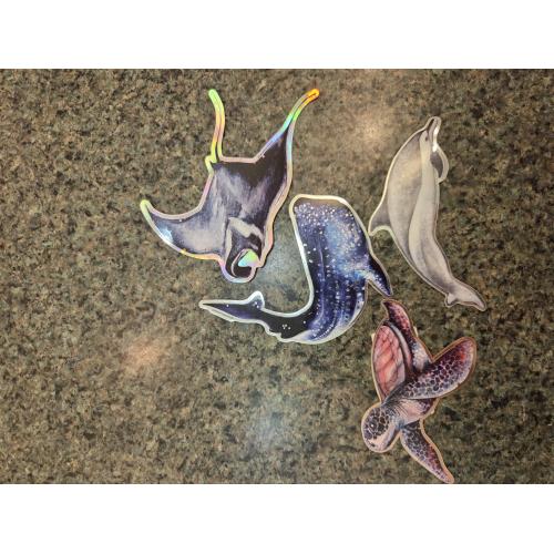 Sticker, Danielle Burnside, Assorted