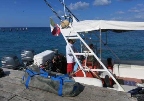 L Gear Bag     34" x 16"