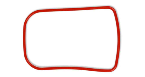 O Ring (1) for DC2000 Housing