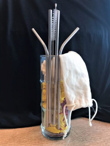 Reusable Metal Straw 4-Pack
