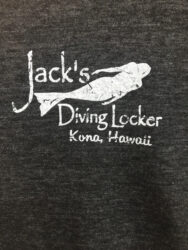 Ladies V-Neck Logo T-Shirt