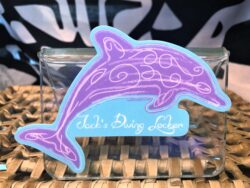 JDL Dolphin Sticker