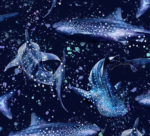 Whale Shark Wonderland Socks