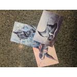 Postcard, Danielle Burnside, Assorted