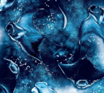 MANTA MAYHEM DIVE SOCKS