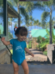 Infant Creeper Dolphin