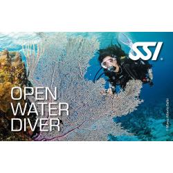 Open Water Diver