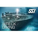 Wreck Diving