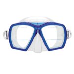 Mask - Gauge Reader / BLUE