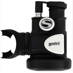 Gemini- White