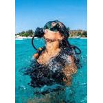 Double Dive to Cook Island (2 tanks)