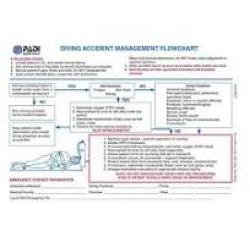 Accident Management Slate