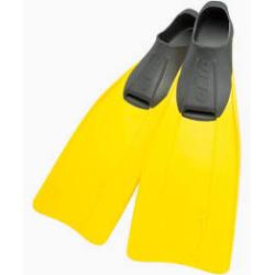 Clio (yellow) [43/44]
