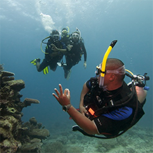 PADI Enriched Air and PADI Drysuit Specialities addons