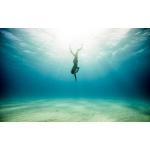 PADI Freediver Course Voucher