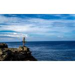 PADI Discover Freediving Course Voucher