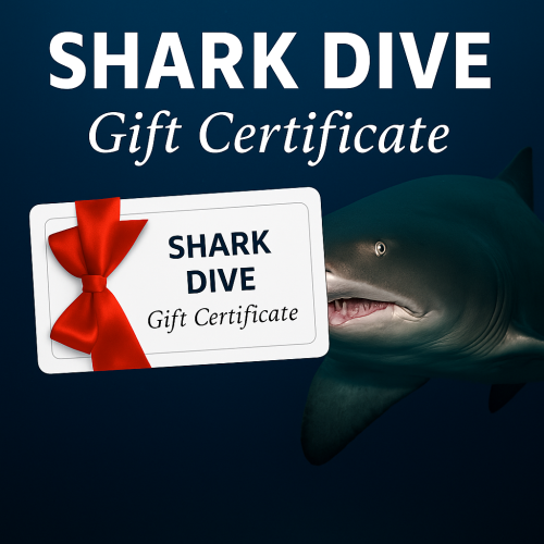 Give the Gift of Sharks