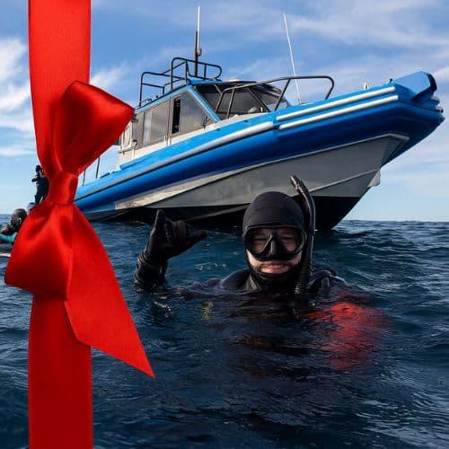 Boat Diving Adventure Pass