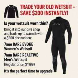 BARE 7MM REACTIVE MENS WETSUIT BARE 7MM REACTIVE MENS WETSUIT