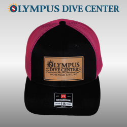 Logo Patch Hat Black & Pink
