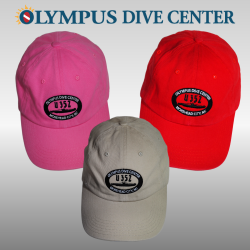 U352 Logo Dad Cap (Assorted Colors)