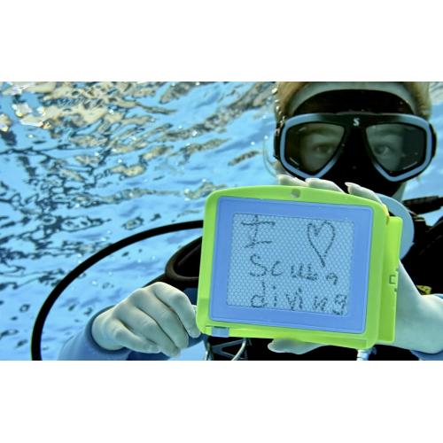 Diver Development Session- 2026