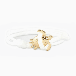 White: Gold Turtle on White