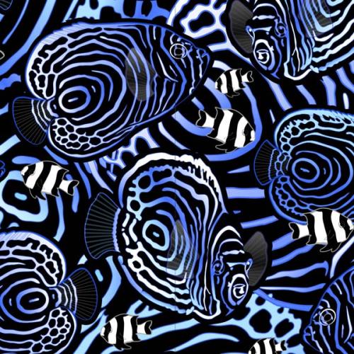 ZIP RASH GUARD ANGELFISH HYPNOSIS Spacefish Army