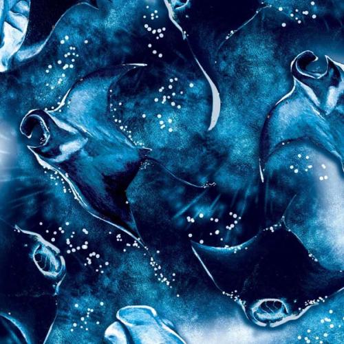 Spacefish Army Dive Socks