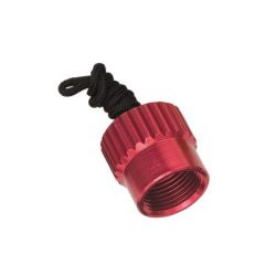 Aluminum Regulator Din Cap