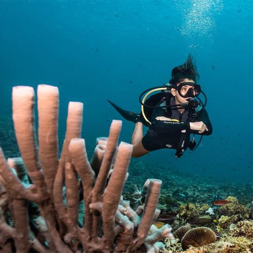 Fourth Element OP Ladies Thermocline LS Top Front Zip 12 Medium