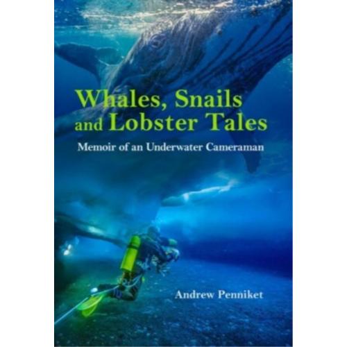 Whales Snails and Lobster Tales