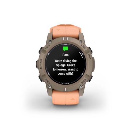 Garmin Descent G2, Paloma with Shell Pink Band