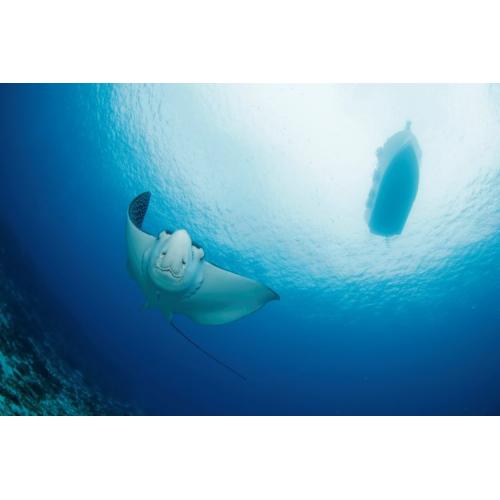 PADI Advanced Open Water & Nitrox Course PADI eLearning Included $725.00 - $350.00 Deposit Only