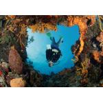 PADI Advanced Open Water & Nitrox Course PADI eLearning Included $725.00 - $350.00 Deposit Only
