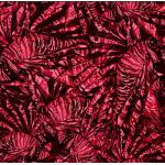 Scuba Head Band, Lionfish Invasion
