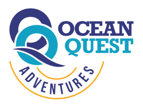 Drysuit Specialty Elearning (dry suit)