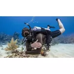 Open Water Diver Referral - Pool Only - Open Dates